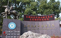 L껨ZW(xu)У