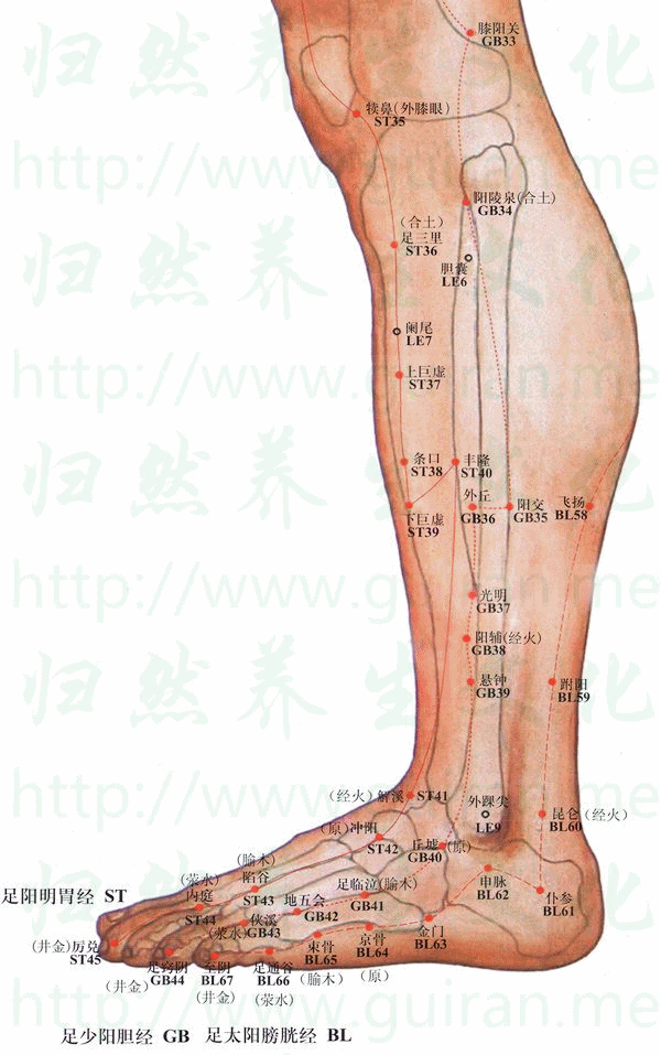金門穴 取穴圖 膀胱經(jīng) 穴位查詢