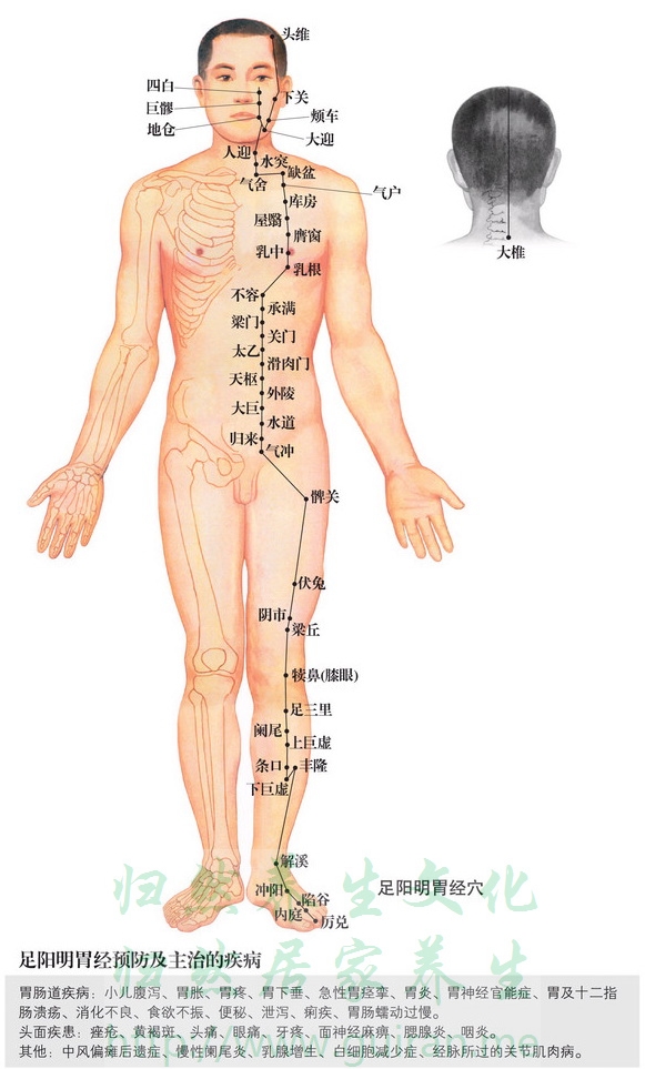 乳根穴 穴位圖 胃經(jīng) 穴位查詢