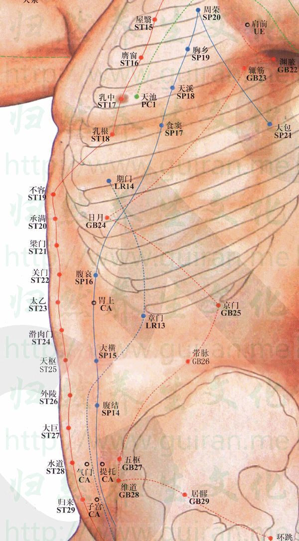 京門穴 取穴圖 膽經 穴位查詢