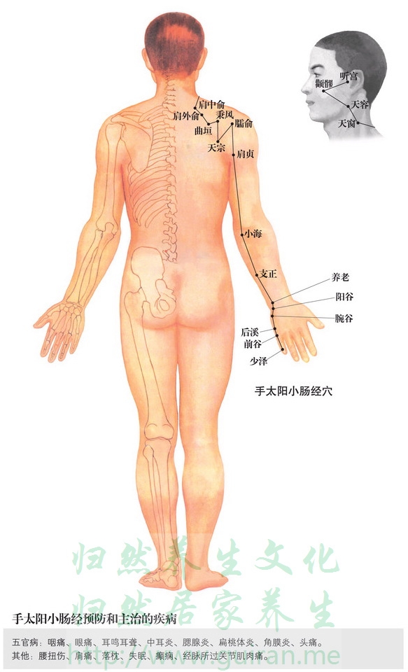 小海穴 穴位圖 小腸經(jīng) 穴位查詢
