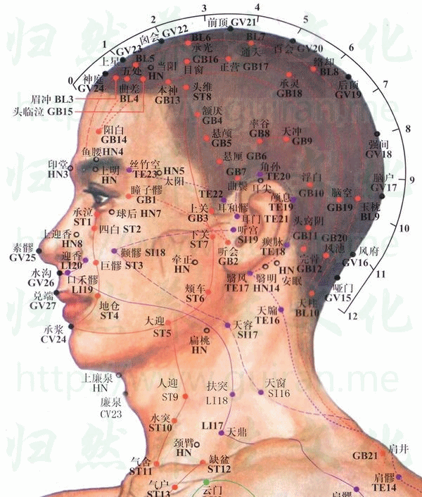 天窗穴 取穴圖 小腸經(jīng) 穴位查詢