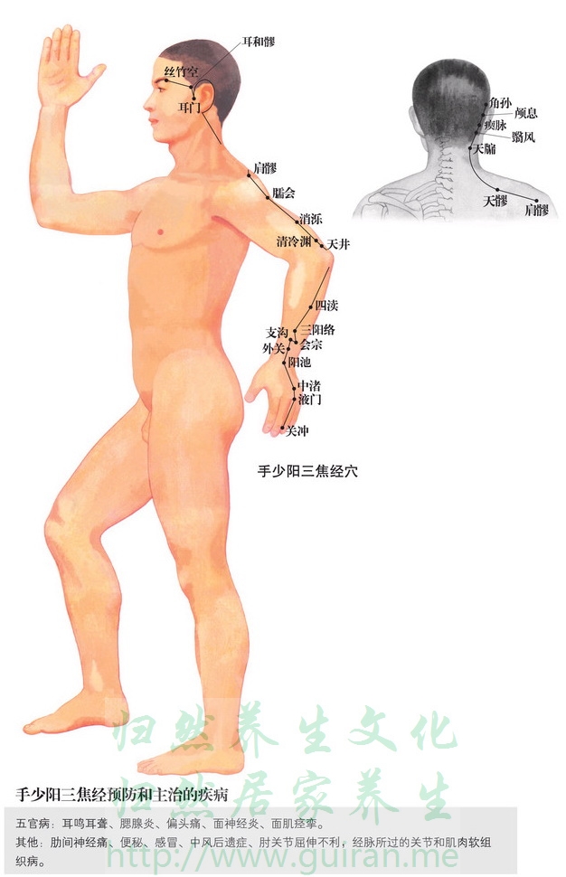 絲竹空穴 穴位圖 三焦經(jīng) 穴位查詢