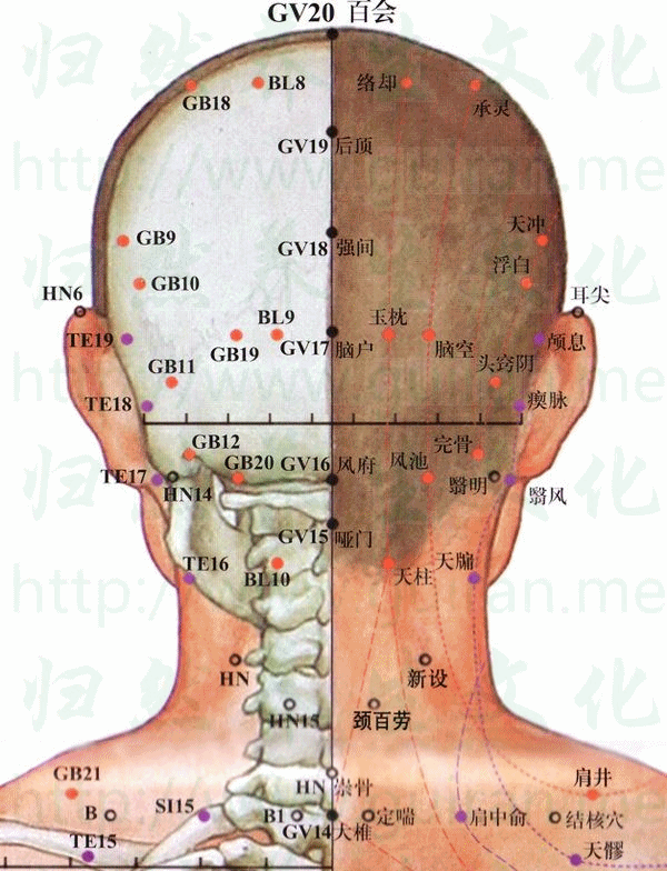 大椎穴 取穴圖 督脈 穴位查詢