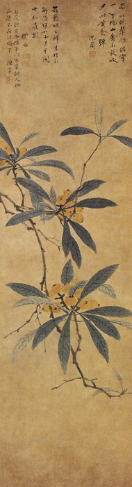 點(diǎn)擊圖片查看原圖 枇杷圖 沈周.shtml