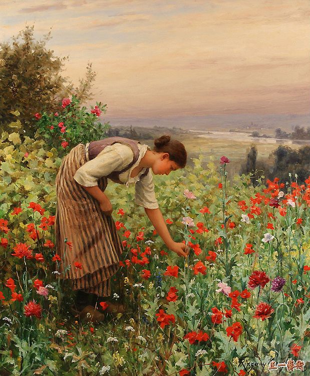 點(diǎn)擊圖片查看原圖 采摘罌粟花的女孩 丹尼爾.shtml